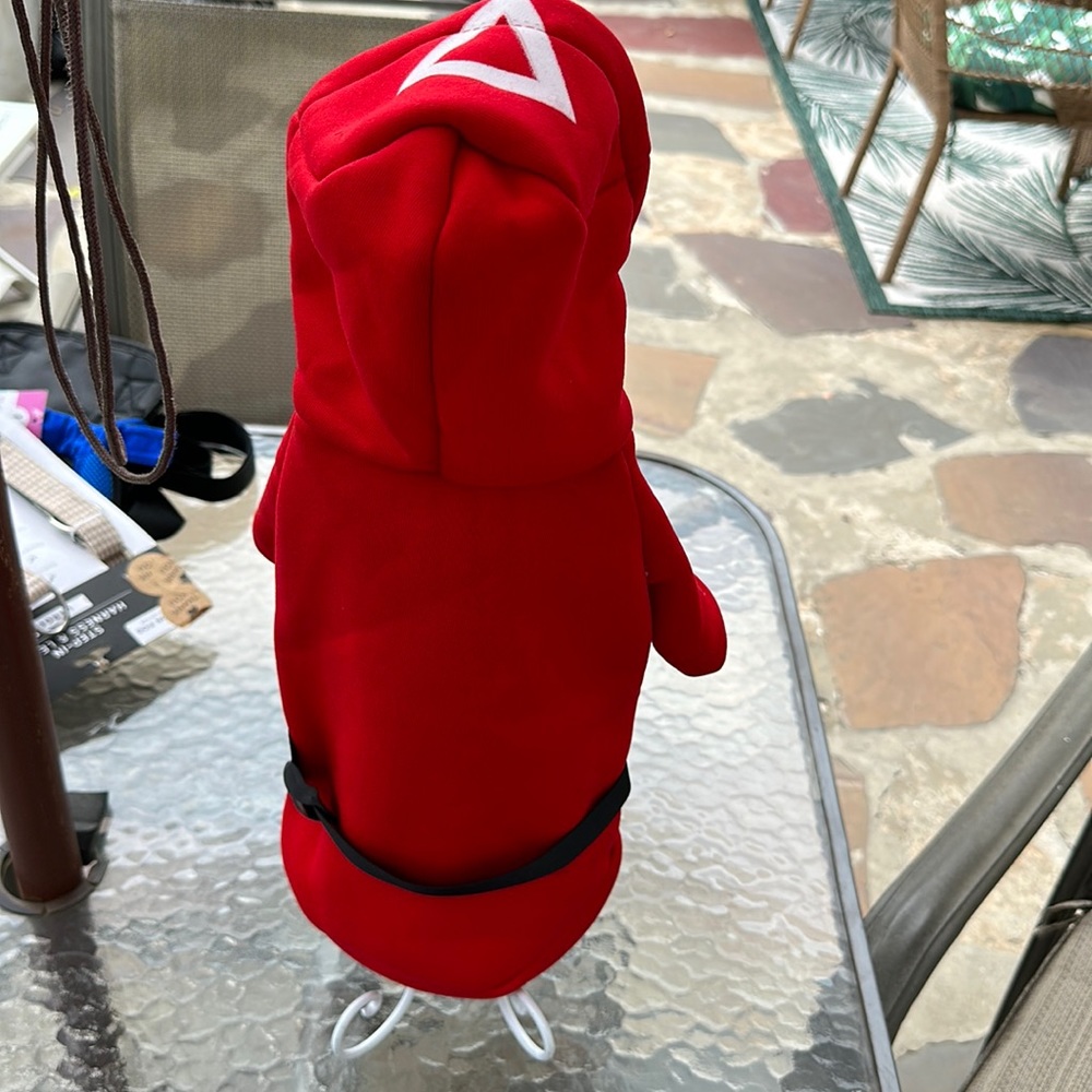 Dog hoodie